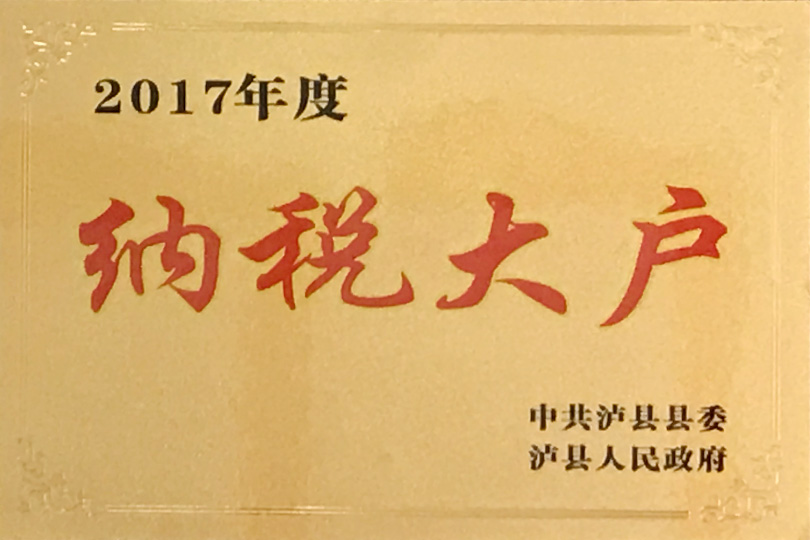 2017年度纳税大户